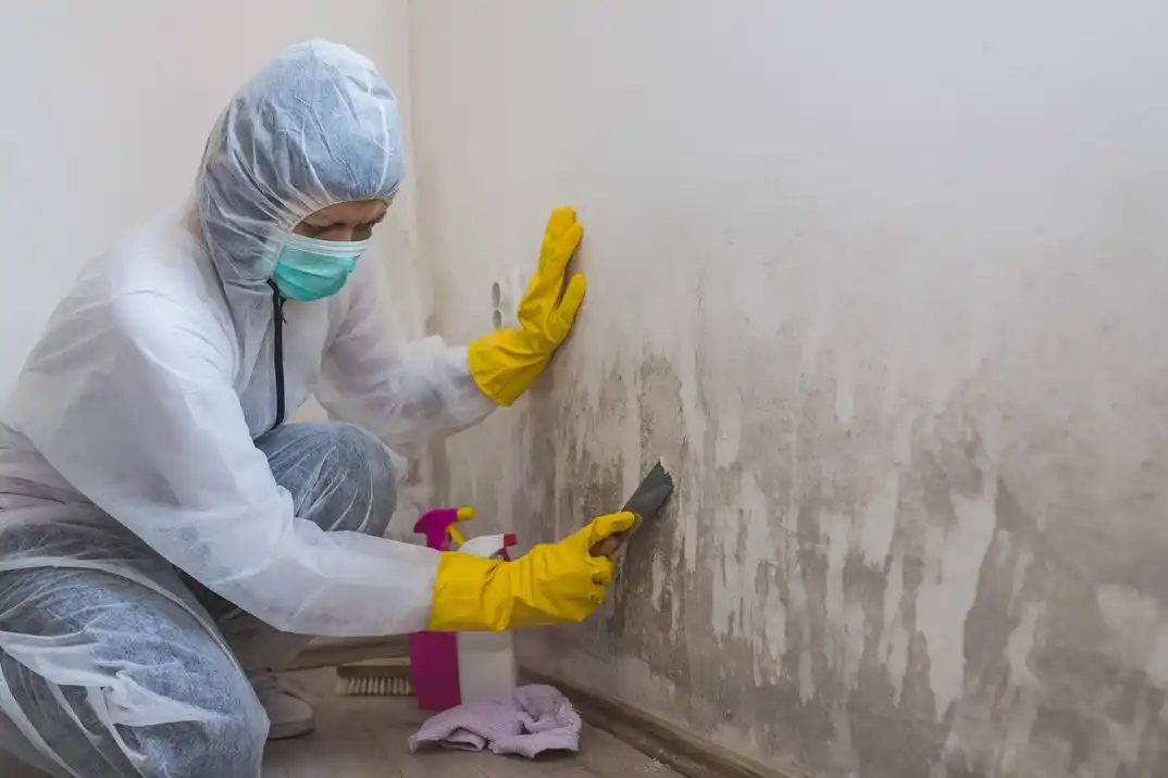 water damage restoration service Windsor Heights